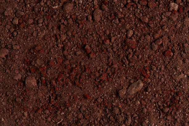 istock Ground Texture. Top View of a Dark Ground Surface. 899775998