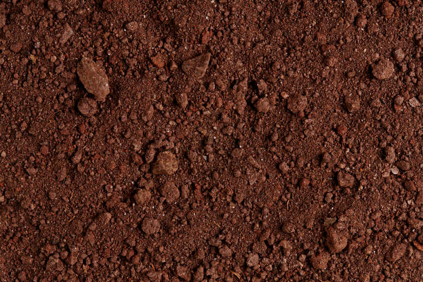 istock Ground Texture. Top View of a Dark Ground Surface. 899776042