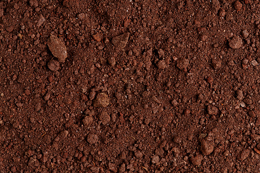 Ground Texture. Top View of a Dark dirt Soil. Close Up Macro View of Dirt and Stones. Background with Text Space. Full Frame.
