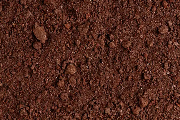 Photo of Ground Texture. Top View of a Dark Ground Surface.