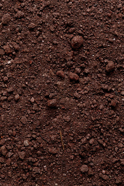 istock Ground Texture. Top View of a Dark Ground Surface. 899776086