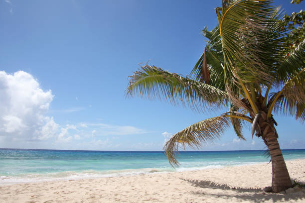 belle mer turquoise & sable doré sur la plage, falmouth, jamaïque. - falmouth jamaica photos et images de collection
