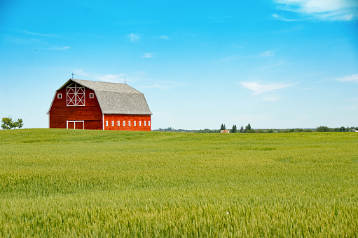 An abandoned red barn with a wagon ramp beside a gravel road on the prairies in Saskatchewan, Canada