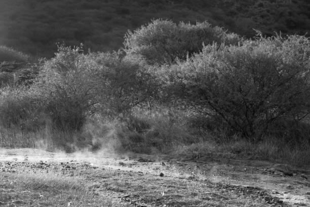 istock Steaming river at Lake Bogoria, Kenya 899783566