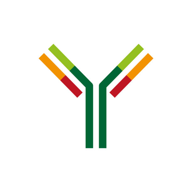 illustrazioni stock, clip art, cartoni animati e icone di tendenza di icona anticorpale - anticorpo