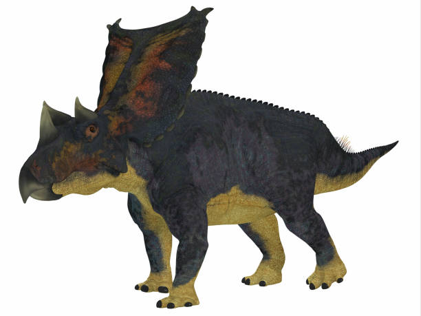 chasmosaurus 공룡 사이드 프로 파일 - paleobiology 뉴스 사진 이미지