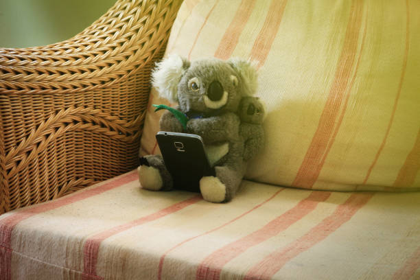 Doll Koala playing mobile phone in the house.