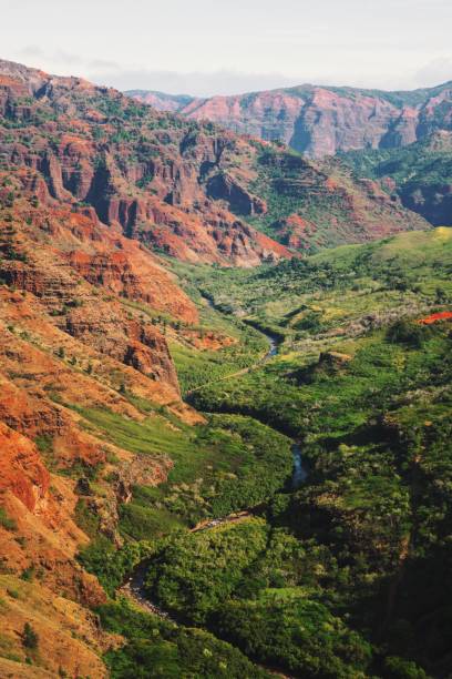 istock Waimea Canyon Landscape 899820144