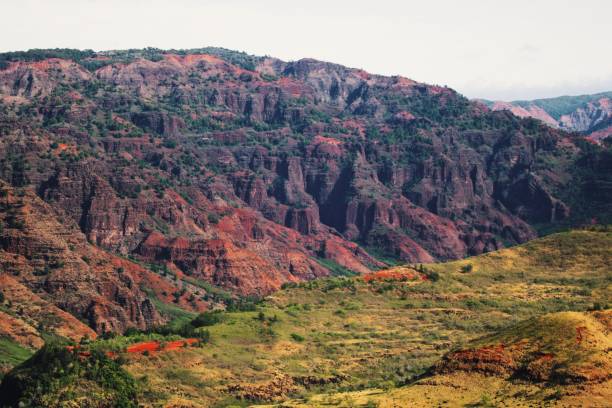 istock Waimea Canyon Landscape 899820158