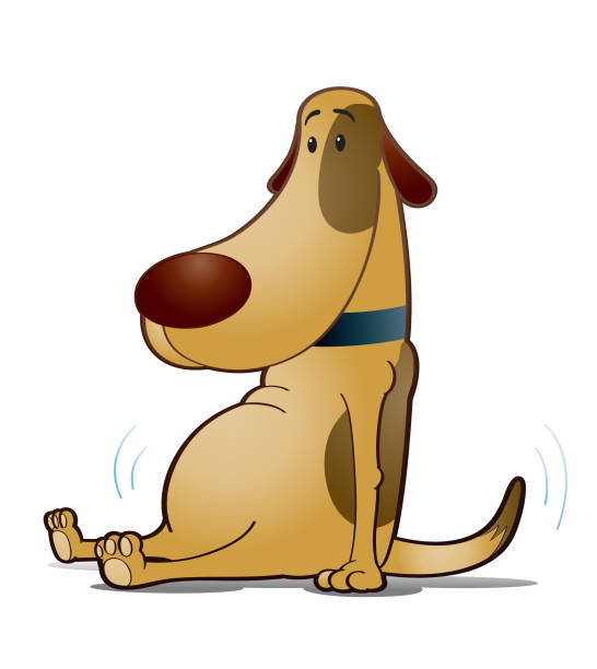 dog belly fat