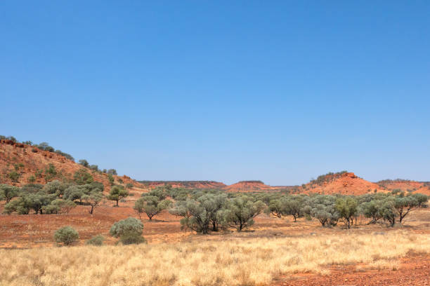istock Red hills and shrubs in Outback Queensland 899828996