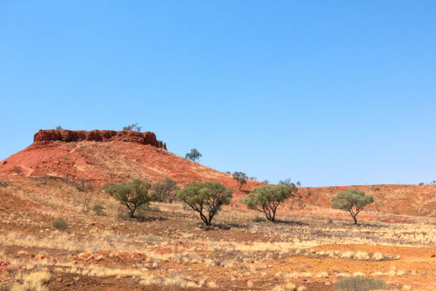 istock Shrubs and red hill in Outback Queensland 899829042