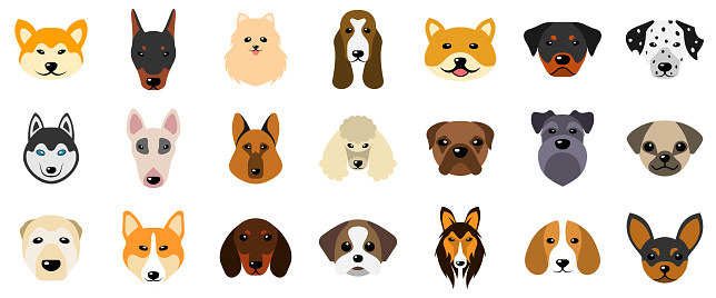 Set Heads of Dogs, Collection Different Breeds of Canines, Isolated on White Background - Illustration Vector