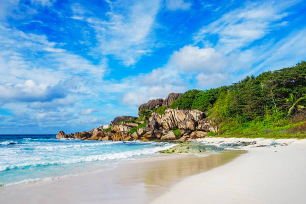 plage paradisiaque sur les seychelles, de grand anse, de la digue 8 - 16017 photos et images de collection