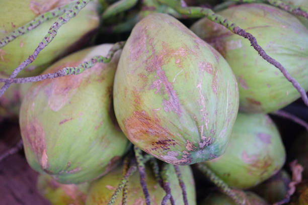 istock Fresh green bunch lot of young coconut 899836144