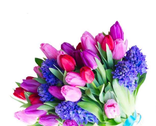 istock hyacinth and tulips flowers 899839052