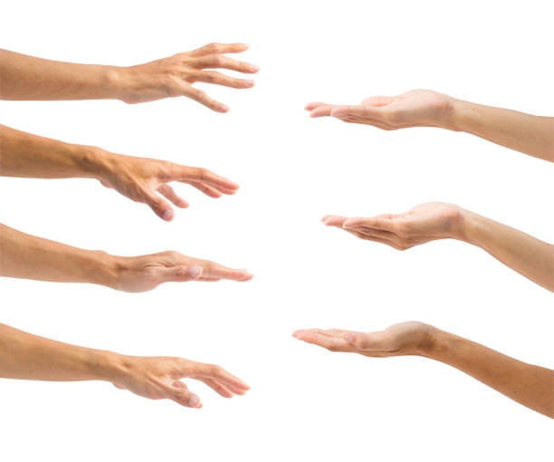 istock Set of hand gesture isolated on white background with clipping path. Collection 7 in 1 open up palm and reach palm down man hand. 899840200