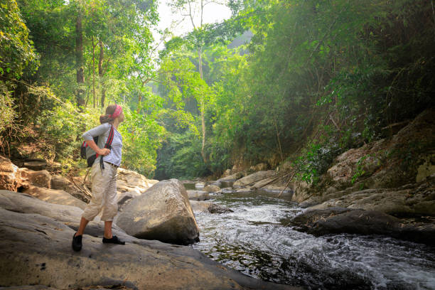 женщина с рюкзаком походы в тропический лес - waterfall thailand tropical rainforest tropical climate стоковые фото и изображения