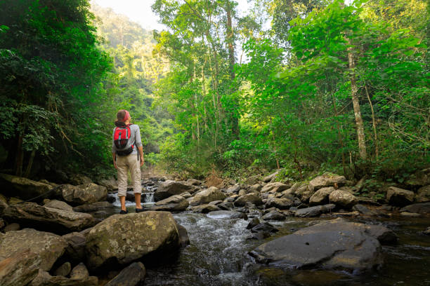 istock Woman with backpack hiking at rainforest 899840404