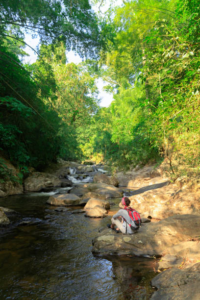 istock Woman with backpack hiking at rainforest 899840410