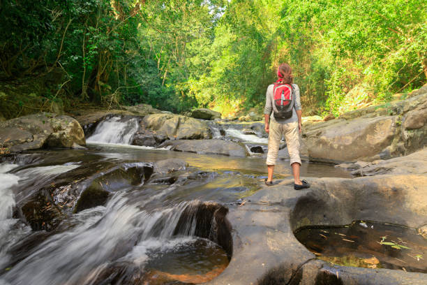 istock Woman with backpack hiking at rainforest 899840420