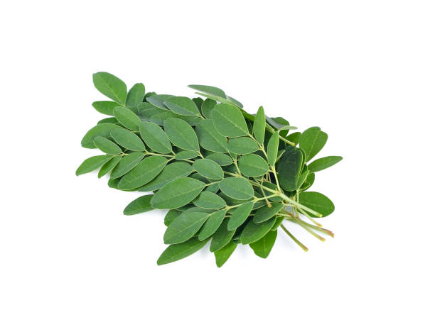 istock Moringa oleifera leaves isolated on white background 899840534