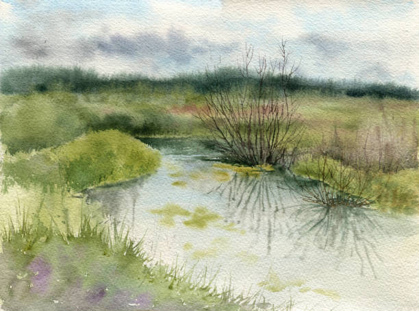 watercolor landscape with swamp watercolor rainy landscape with swamp and bushes marsh stock illustrations