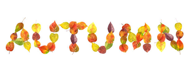 istock the word autumn from the fallen leaves 899843060