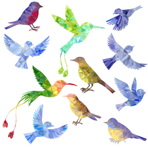 vector set of polygonal birds silhouettes vector set of polygonal birds silhouettes, triangulation of songbirds, isolated vector elements songbird illustrations stock illustrations