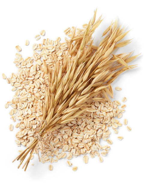 oats bundle of oat plant with oatmeal isolated on white oat crop photos stock pictures, royalty-free photos & images