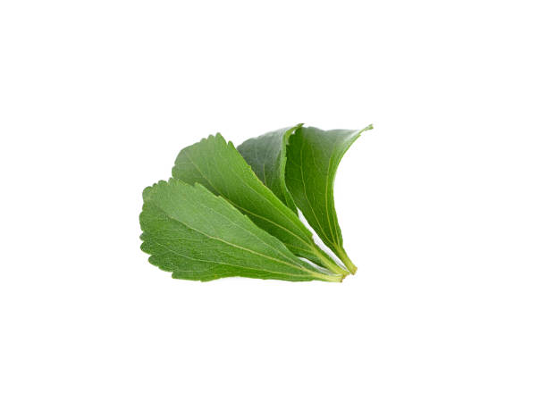 istock Stevia rebaudiana leaves on white background 899850088