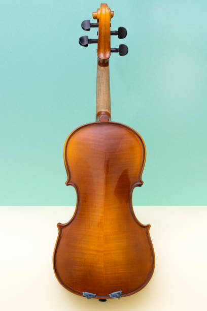 istock Musical instrument violin on a colored background. Back side 899852936