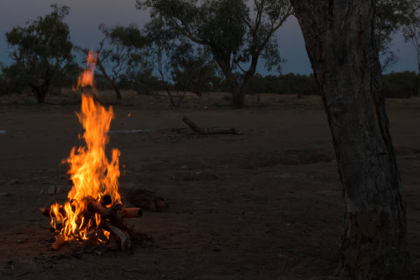 istock Campfire near tree at dusk in Outback Queensland 899853378