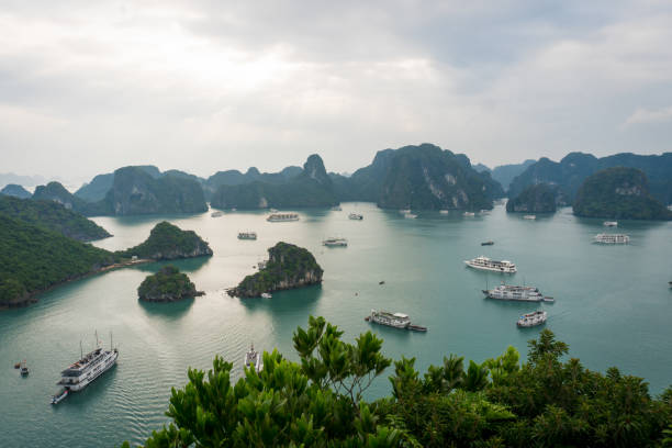 pitoresca paisagem do mar.  ha long bay do vietnã - long bay - fotografias e filmes do acervo