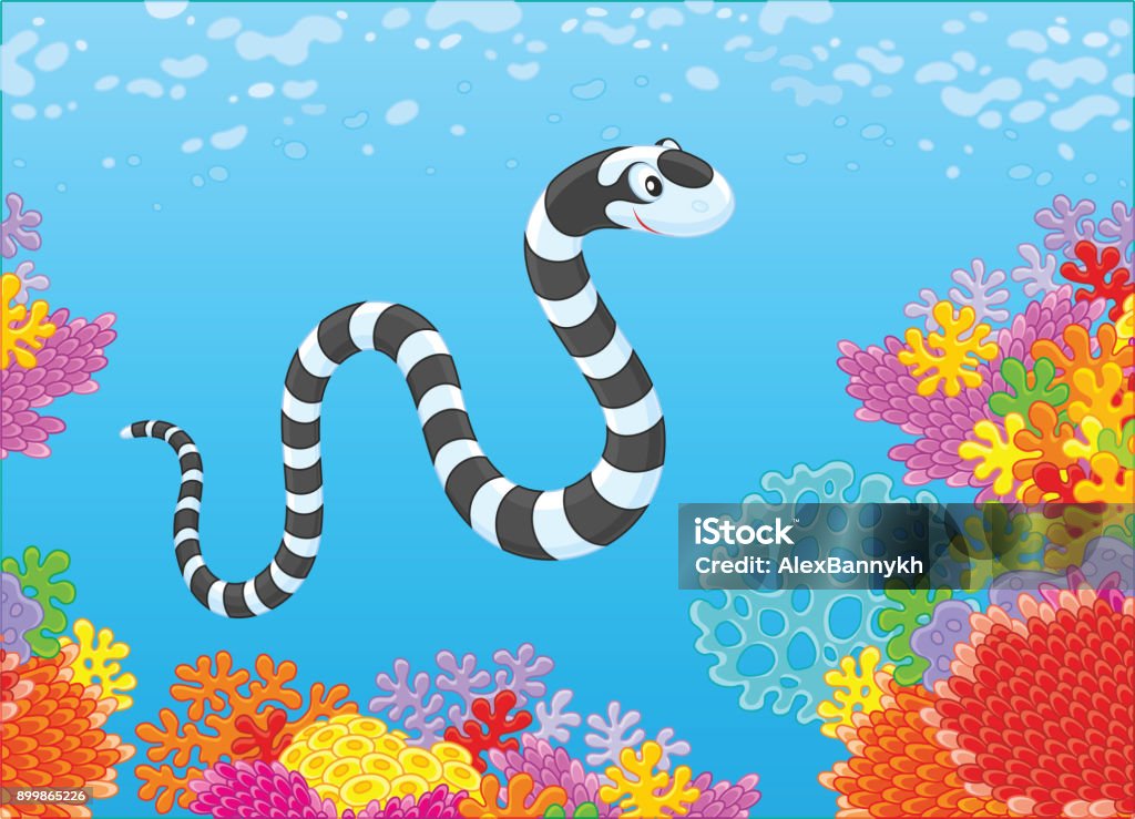 Sea Snake And Corals Stock Illustration - Download Image Now - Sea Snake,  Animal, Aquarium - iStock