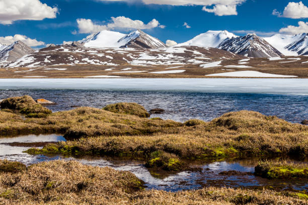 istock Barskoon (Arabel) Syrts at Issyk Kul Region 899866592