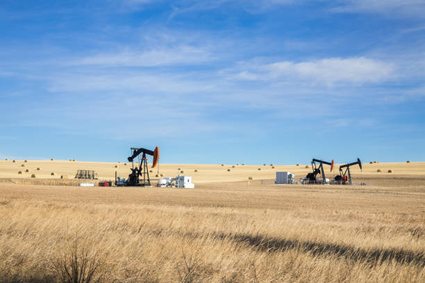 bomba de óleo valetes no meio da terra de exploração agrícola com ei barris. paisagem. equipamentos de indústria de petróleo. calgary, alberta, canadá. - oil pump oil industry industry alberta - fotografias e filmes do acervo