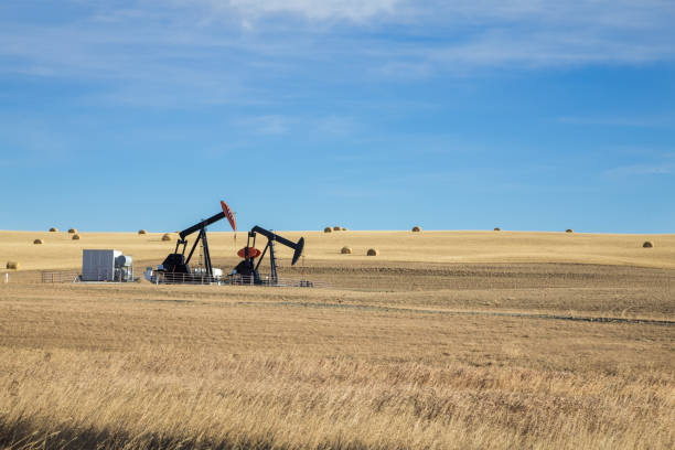 oil pump jacks in the middle of farm land with hey barrels. oil industry equipment. calgary, alberta, canada. - oil pump oil industry alberta equipment imagens e fotografias de stock