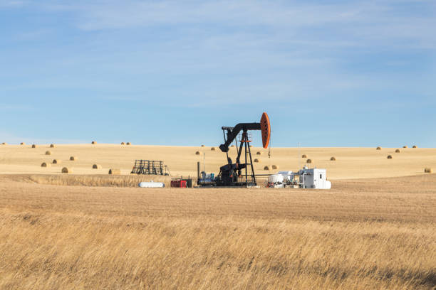 A single oil pump jack in the farm field. Oil industry equipment. Calgary, Alberta, Canada. A single pump jack, pumping oil in the farmer's field. alberta photos stock pictures, royalty-free photos & images
