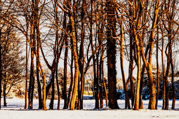 december
