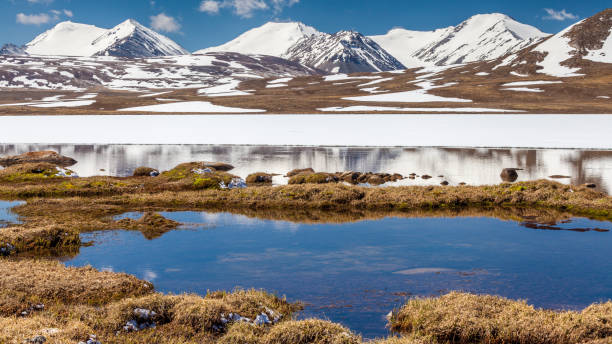 istock Barskoon (Arabel) Syrts at Issyk Kul Region 899877426