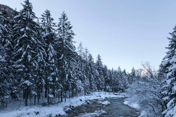 istock Vrata - Tal, Slowenien 899880224