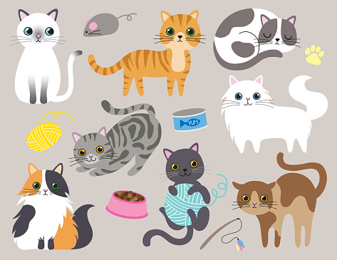 Cute Kitty Cat Vector Illustration