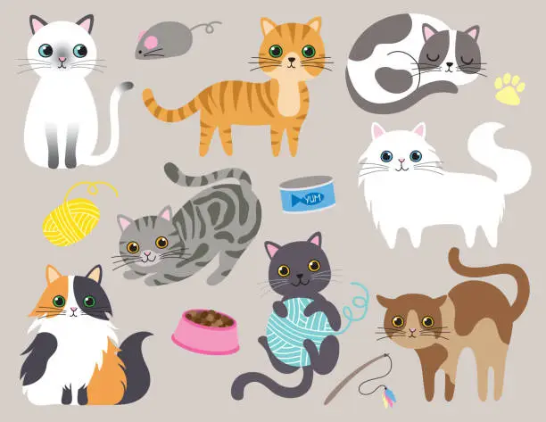 Vector illustration of Cute Kitty Cat Vector Illustration