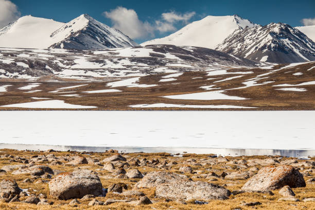 istock Barskoon (Arabel) Syrts at Issyk Kul Region 899882552