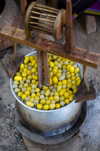 istock Boiling cocoon silkworm in the pot to make silk yarn 899888370