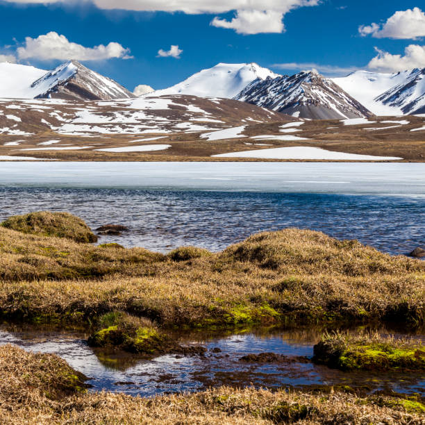 istock Barskoon (Arabel) Syrts at Issyk Kul Region 899890138