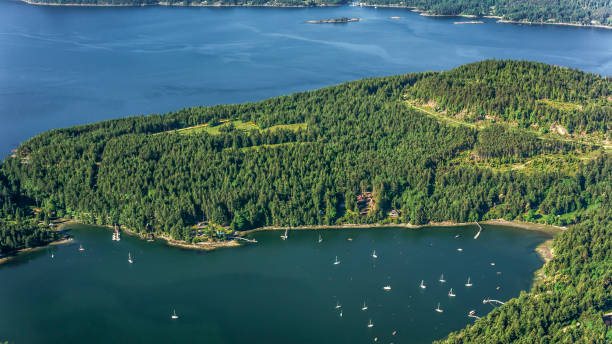 istock View of sea with trees 899890634