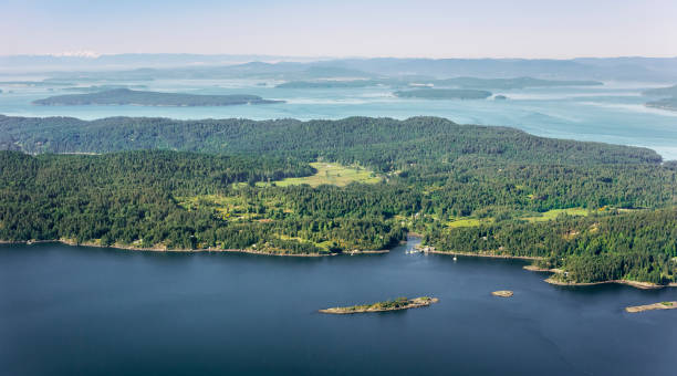 istock Lush area with sea 899890638