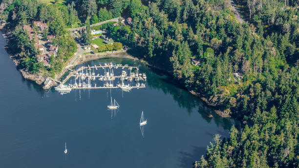 istock Nautical vessels moored in sea 899890646